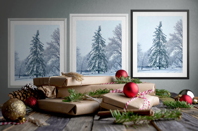 "Wintertime in Colorado" Art Print